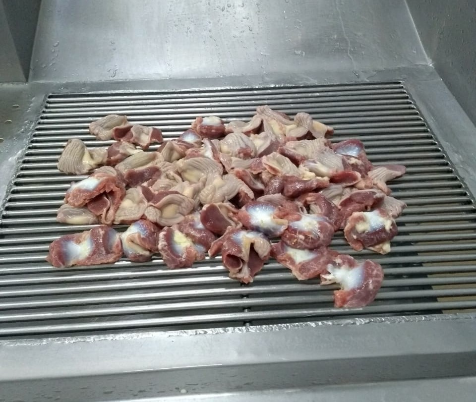 Frozen Chicken Gizzard